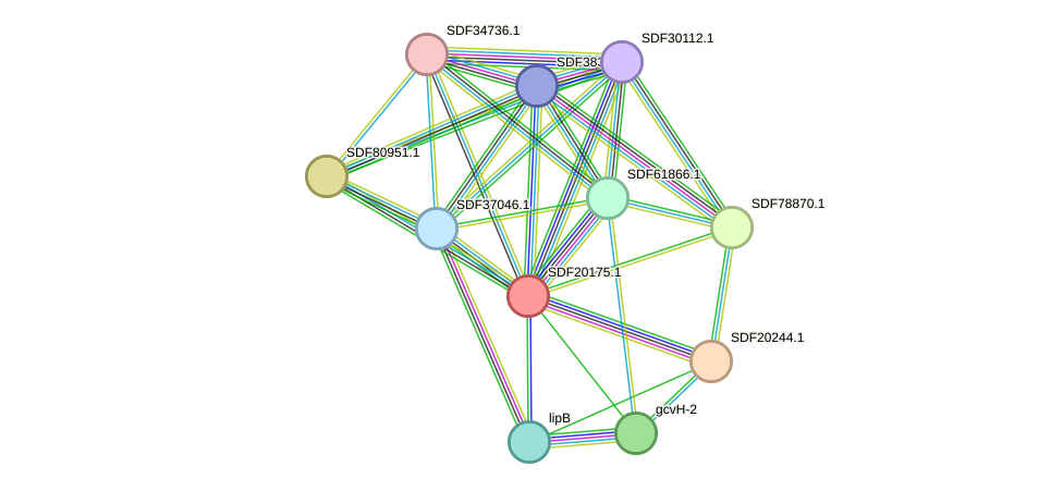 STRING protein interaction network