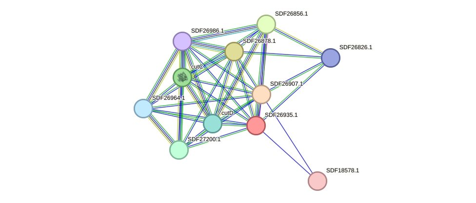 STRING protein interaction network