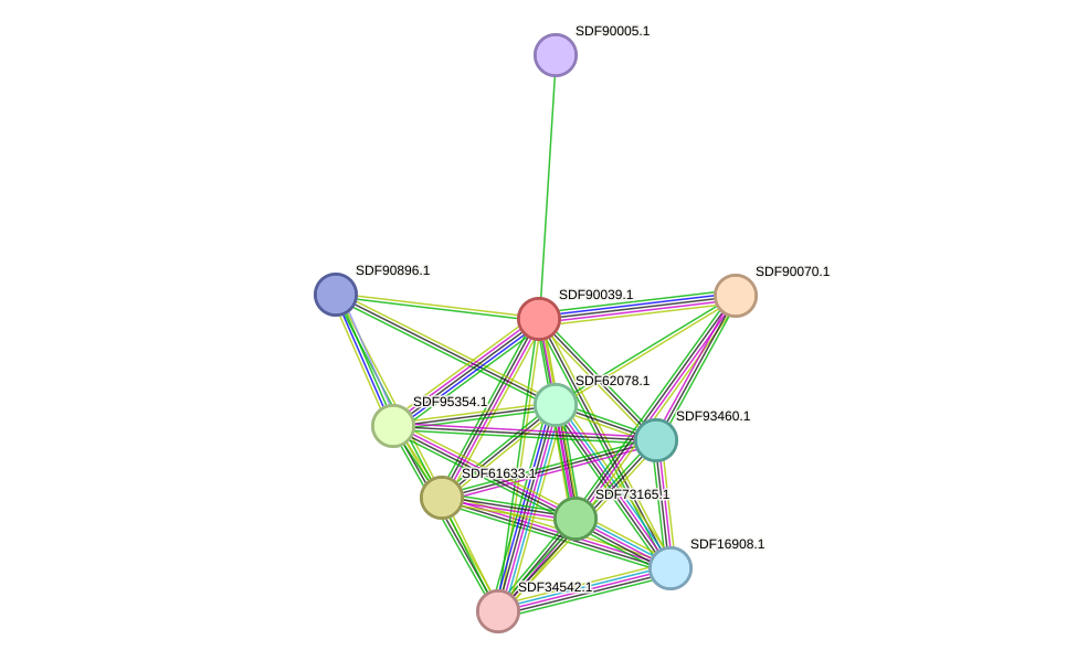 STRING protein interaction network