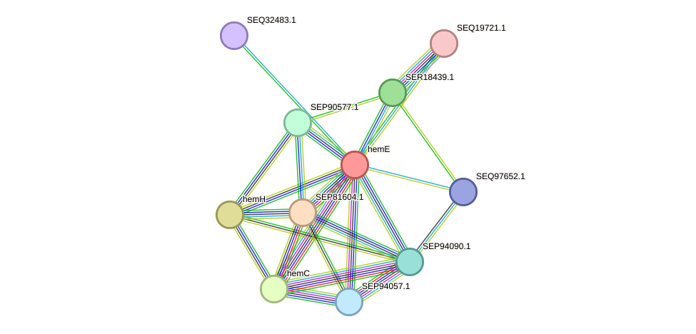 STRING protein interaction network