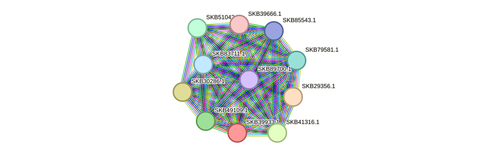 STRING protein interaction network