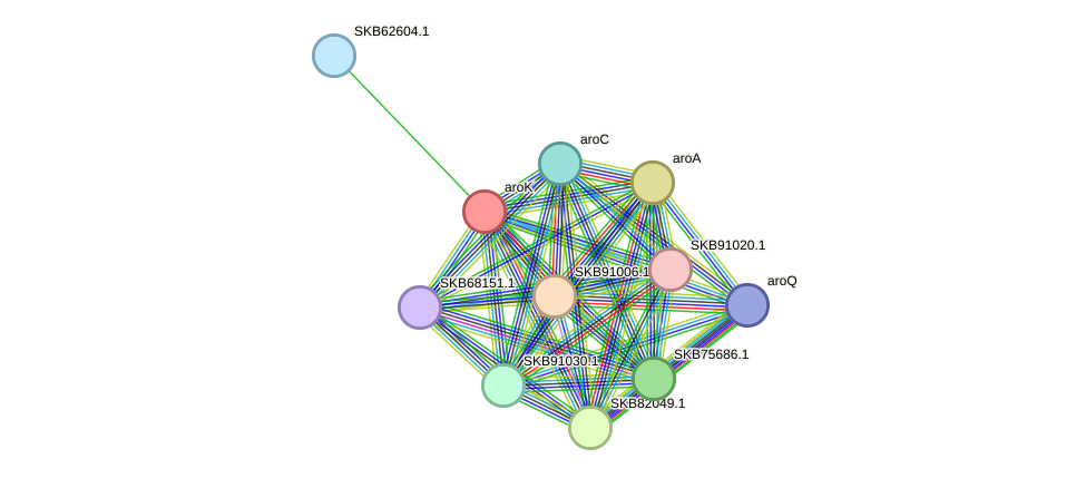 STRING protein interaction network