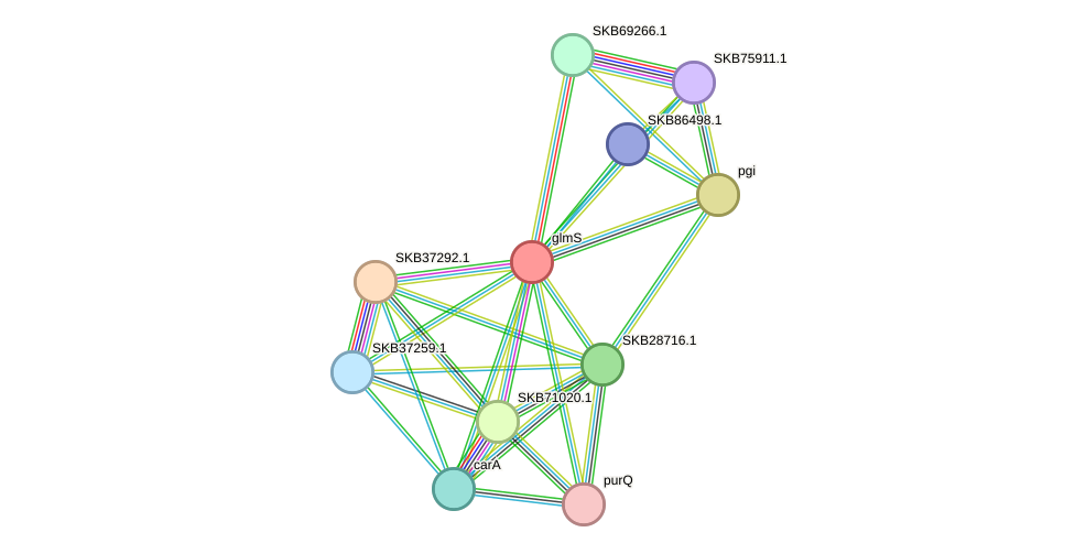 STRING protein interaction network