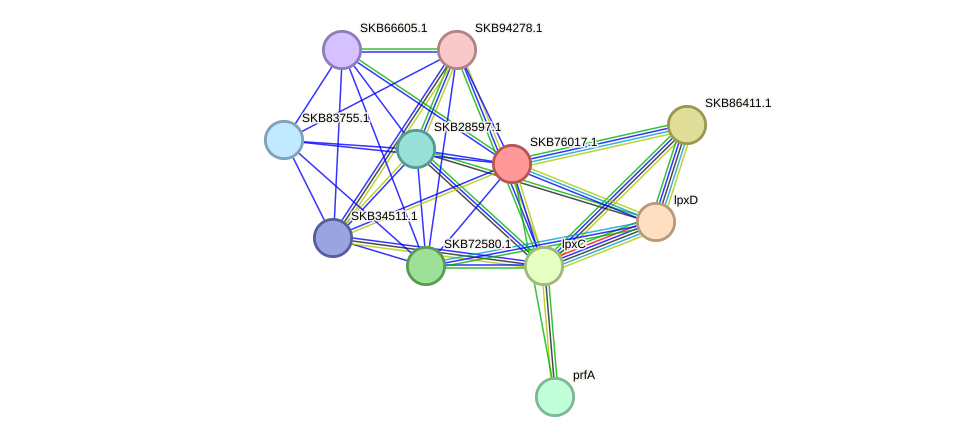 STRING protein interaction network