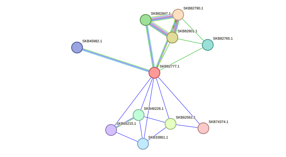 STRING protein interaction network