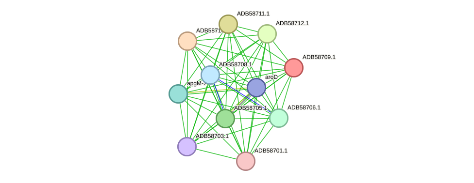STRING protein interaction network