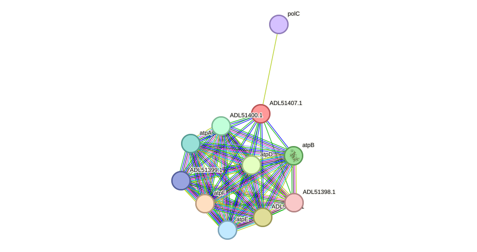 STRING protein interaction network