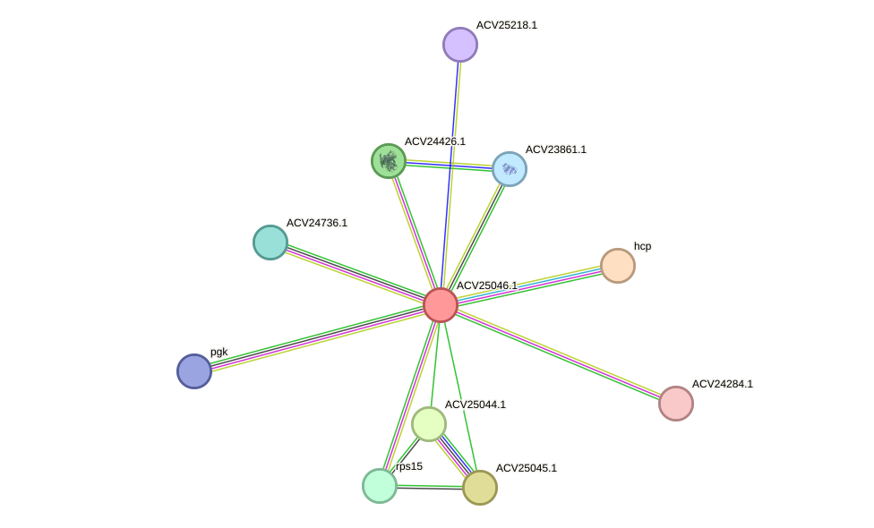 STRING protein interaction network