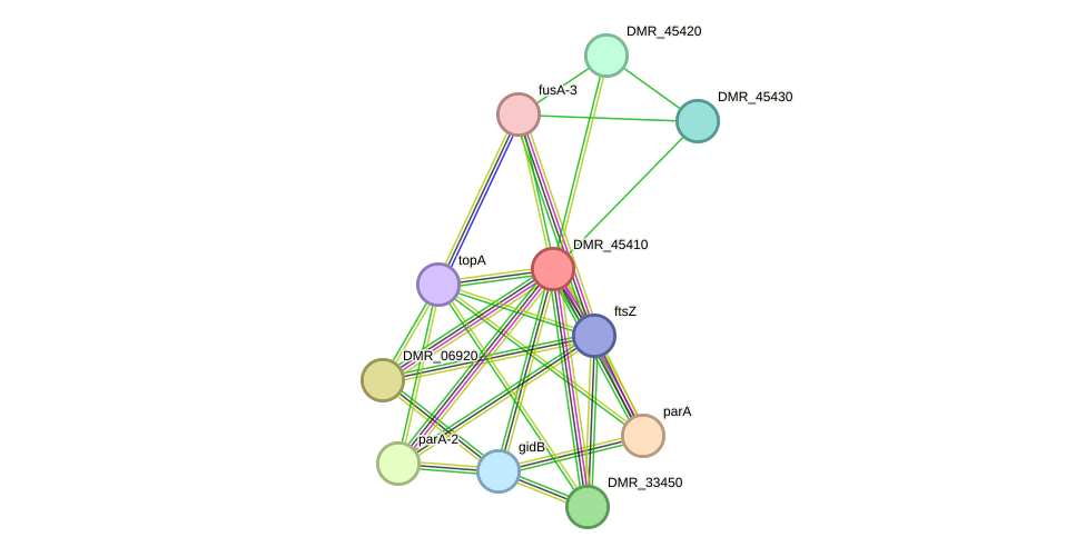 STRING protein interaction network