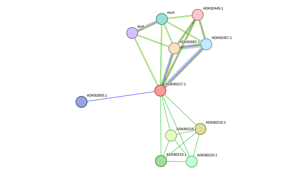 STRING protein interaction network