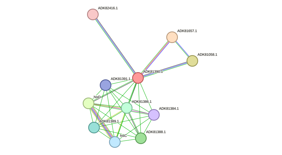 STRING protein interaction network