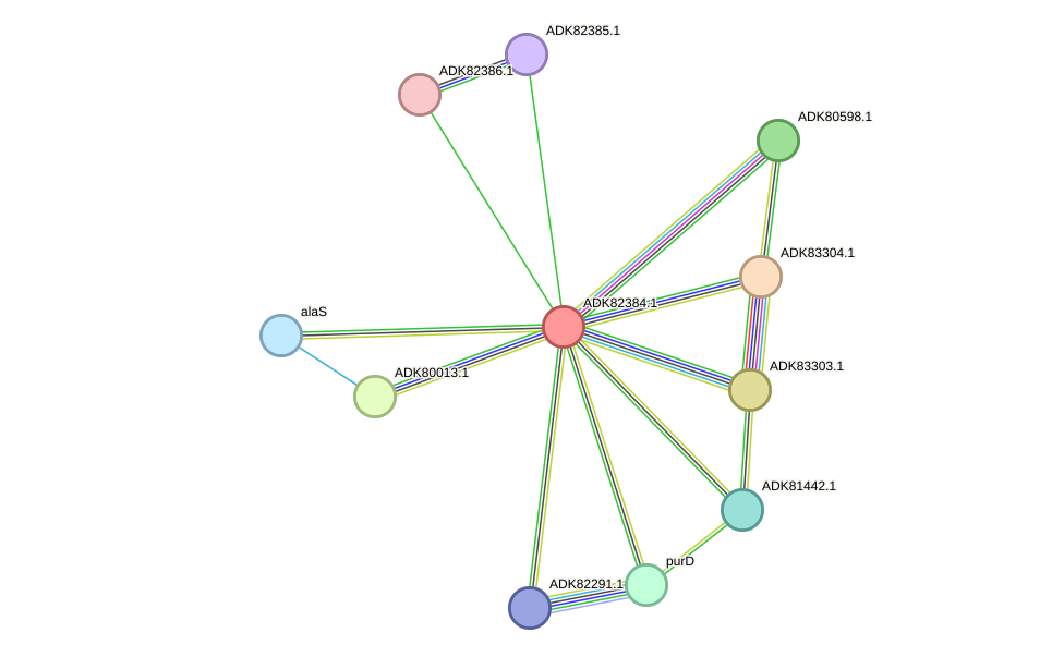 STRING protein interaction network