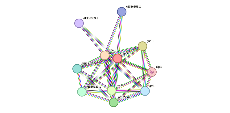 STRING protein interaction network