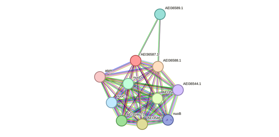 STRING protein interaction network