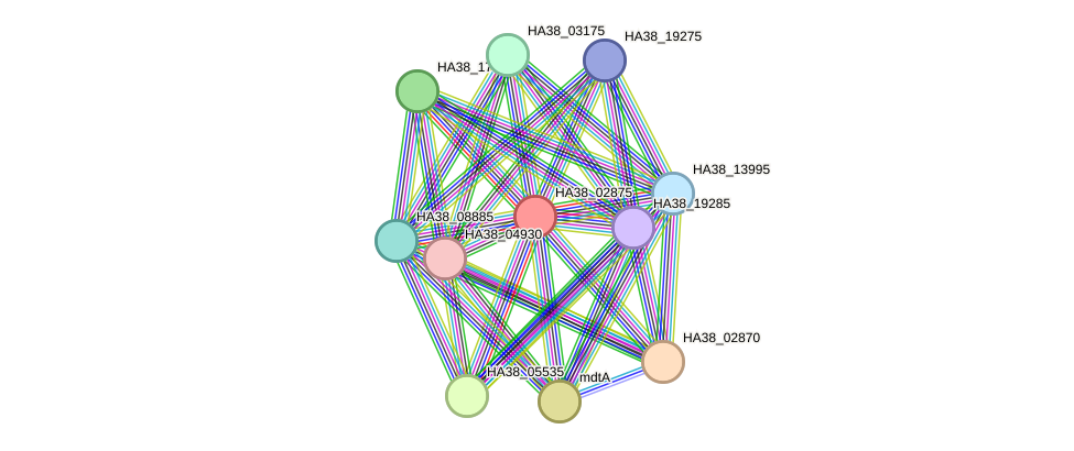 STRING protein interaction network