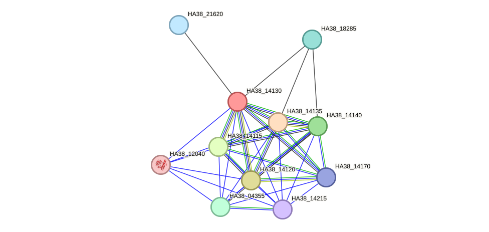 STRING protein interaction network