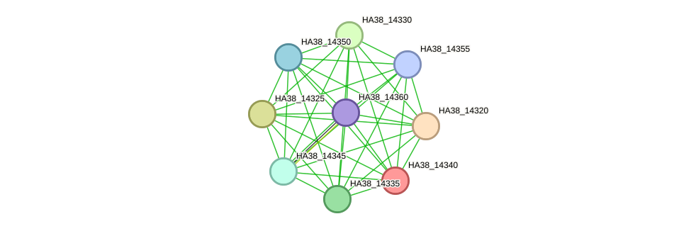 STRING protein interaction network