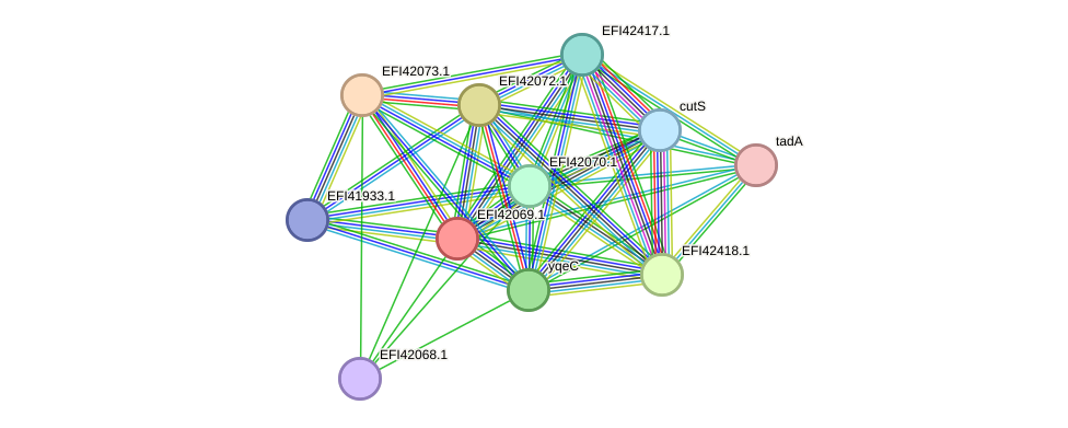 STRING protein interaction network