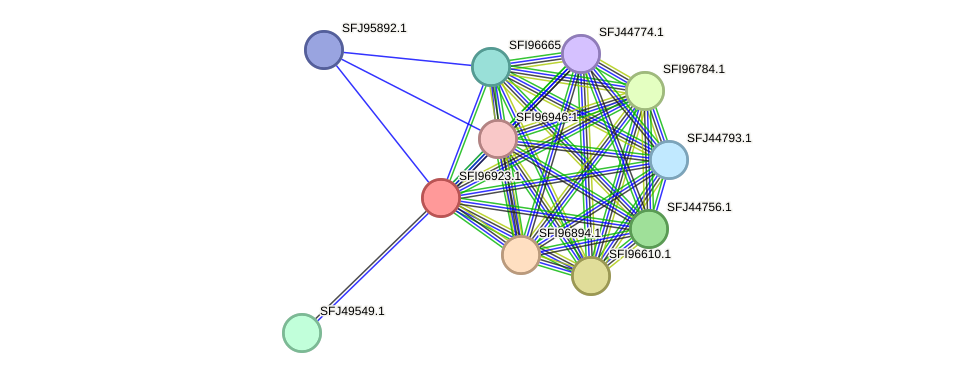 STRING protein interaction network