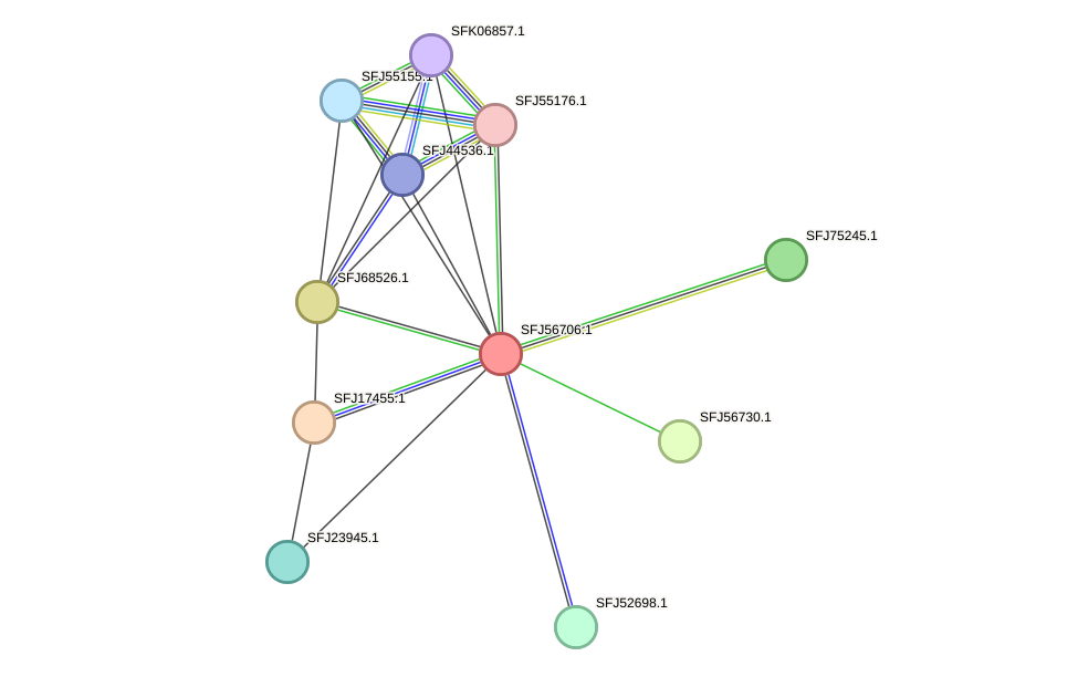 STRING protein interaction network