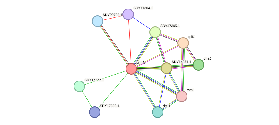 STRING protein interaction network