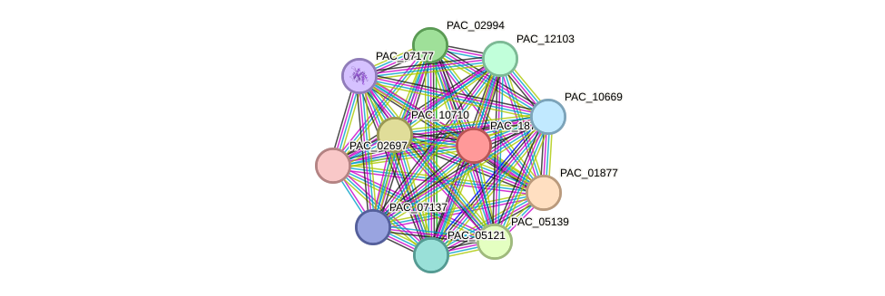 STRING protein interaction network