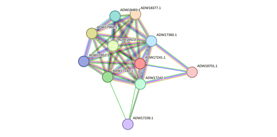 STRING protein interaction network