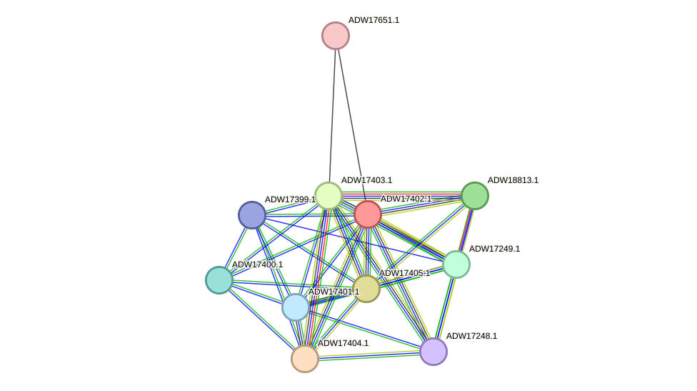 STRING protein interaction network