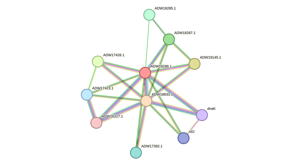 STRING protein interaction network