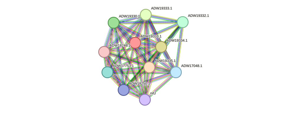 STRING protein interaction network