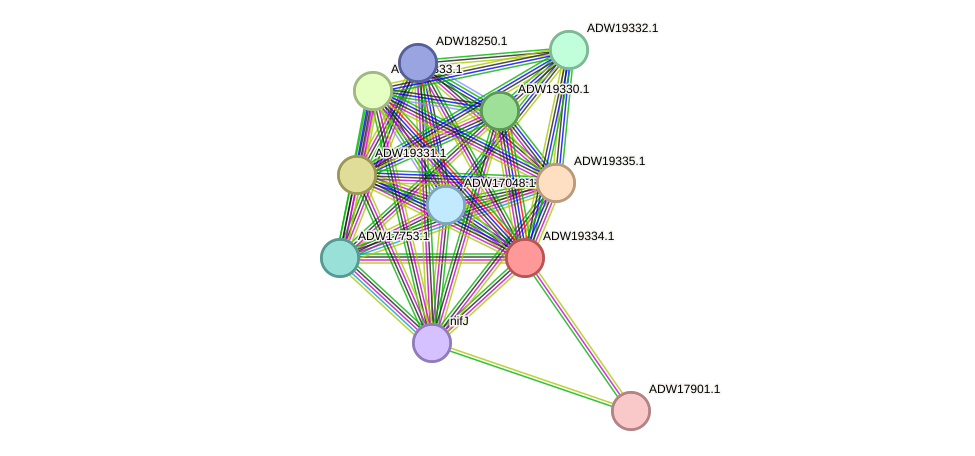 STRING protein interaction network