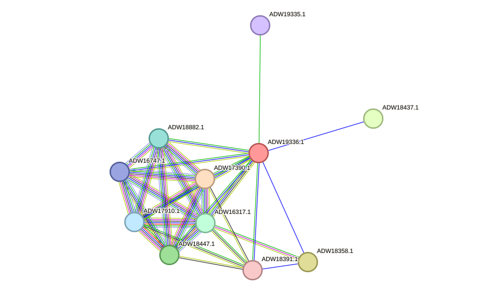 STRING protein interaction network