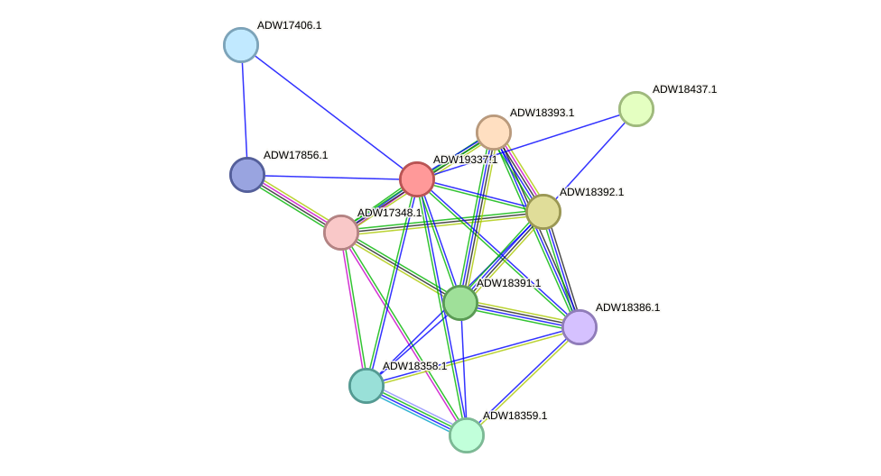 STRING protein interaction network