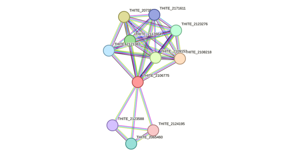 STRING protein interaction network