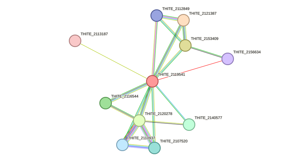 STRING protein interaction network