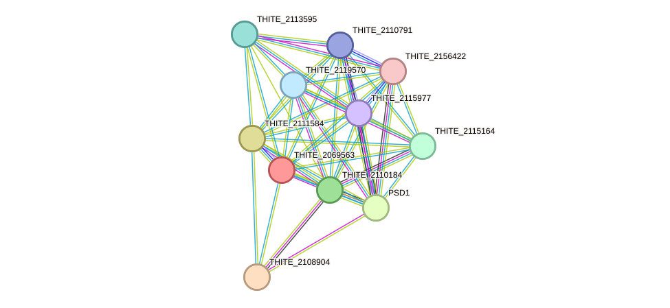 STRING protein interaction network