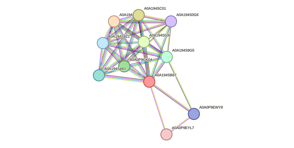 STRING protein interaction network