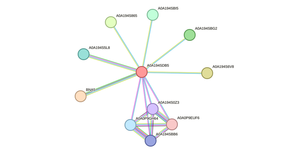 STRING protein interaction network