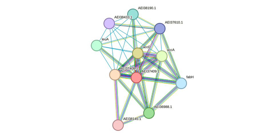 STRING protein interaction network