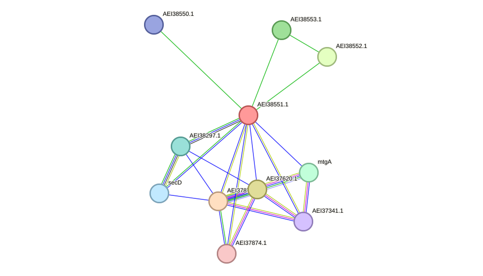 STRING protein interaction network