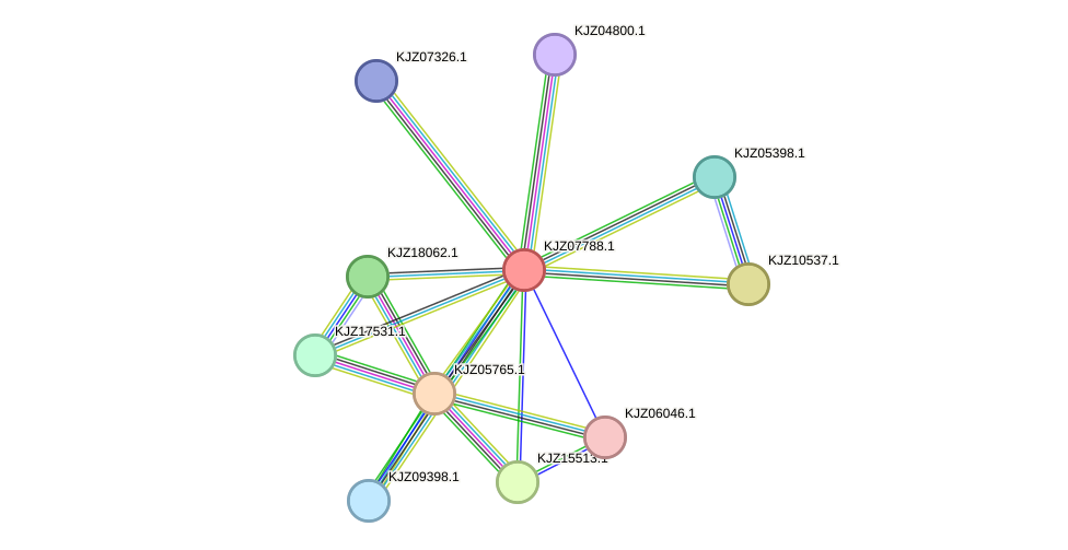 STRING protein interaction network