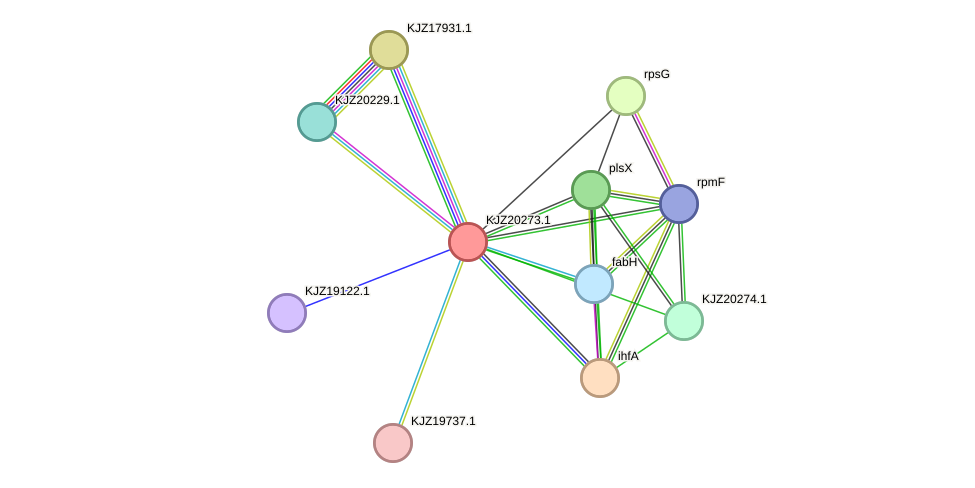 STRING protein interaction network