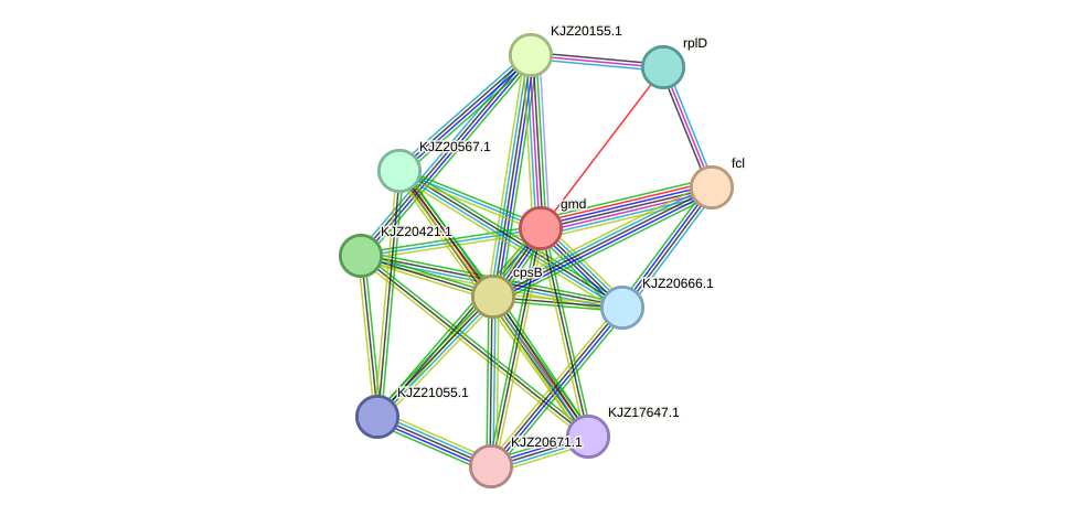 STRING protein interaction network