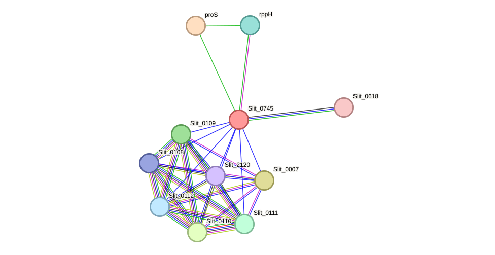 STRING protein interaction network