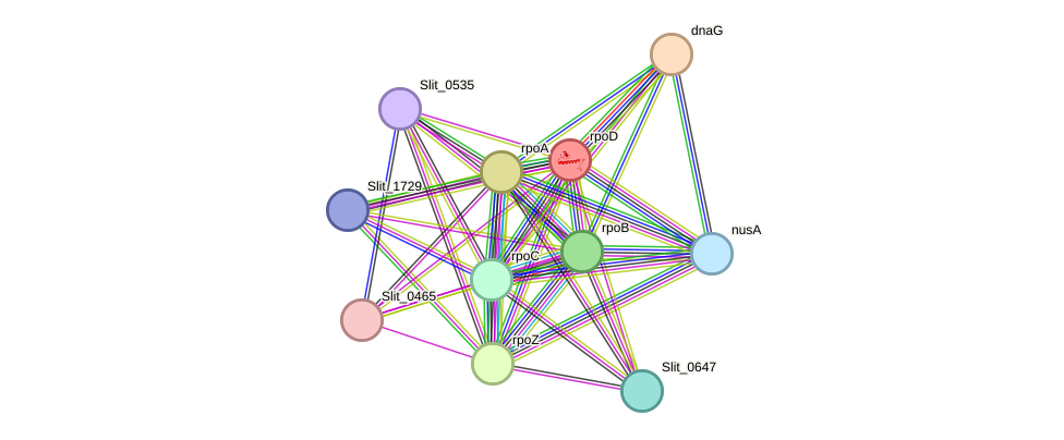 STRING protein interaction network