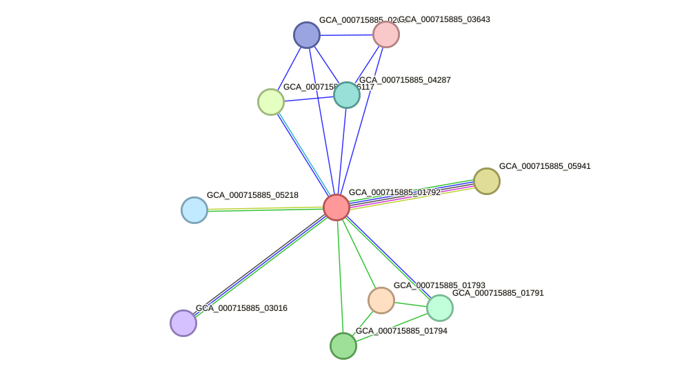 STRING protein interaction network