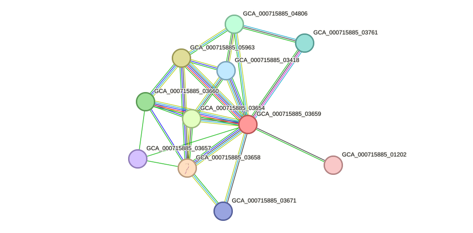 STRING protein interaction network