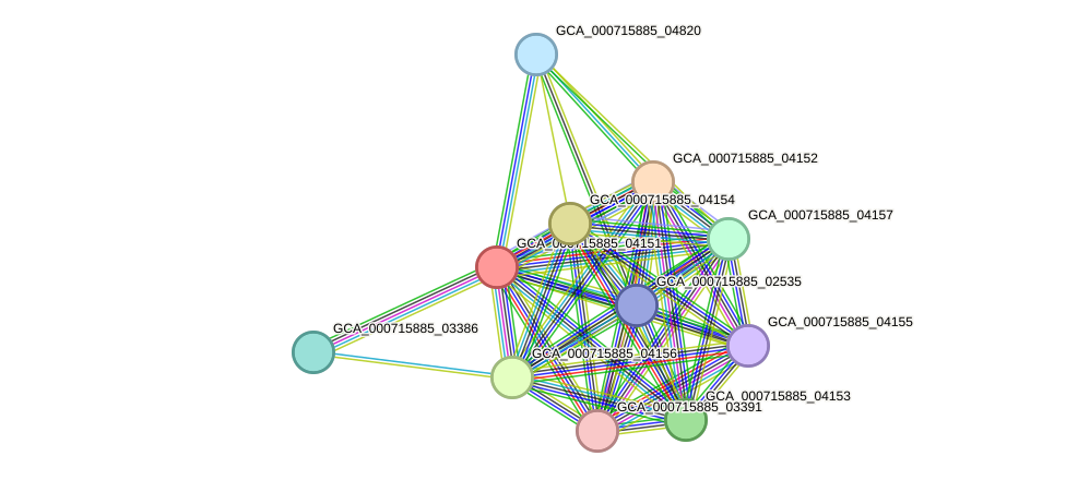 STRING protein interaction network