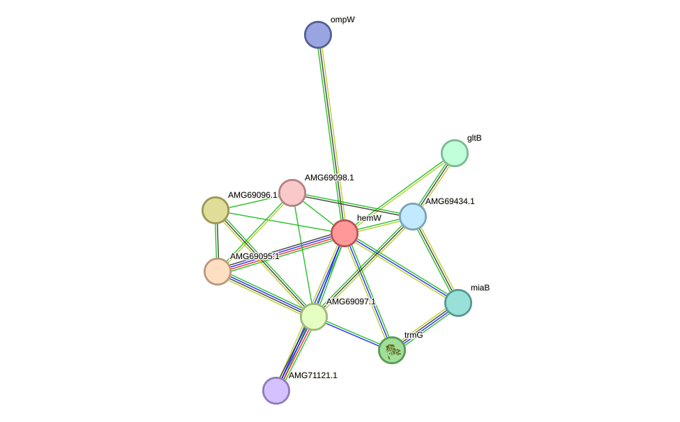 STRING protein interaction network