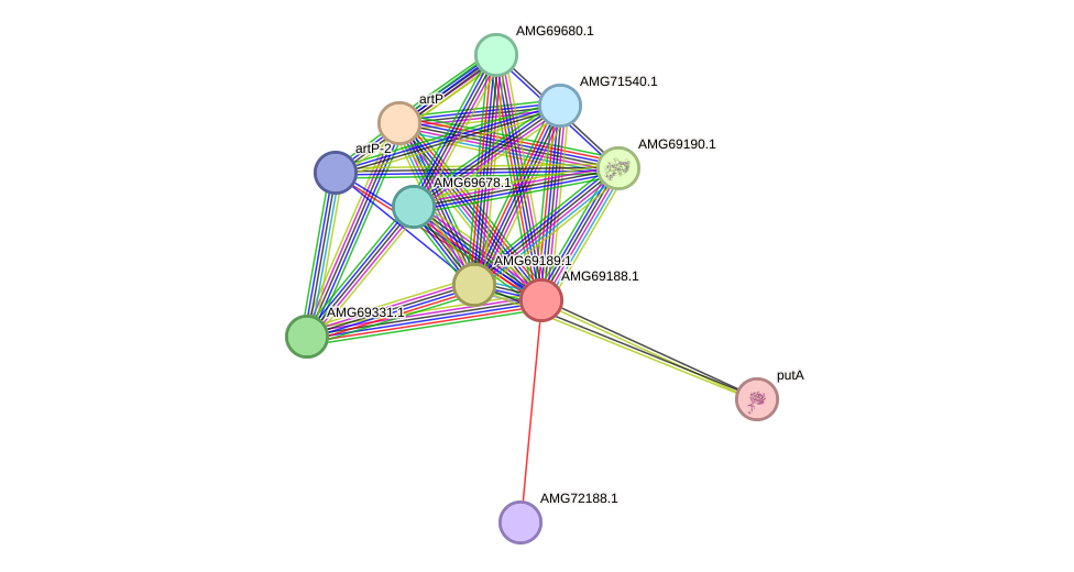 STRING protein interaction network